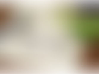 Sankalpa – a intenção da prática