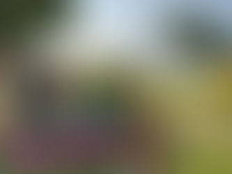 O Yoga conquista a Orla Carioca!