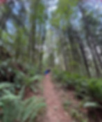 Hiking up a trail at Mountaindale North Day Camp.