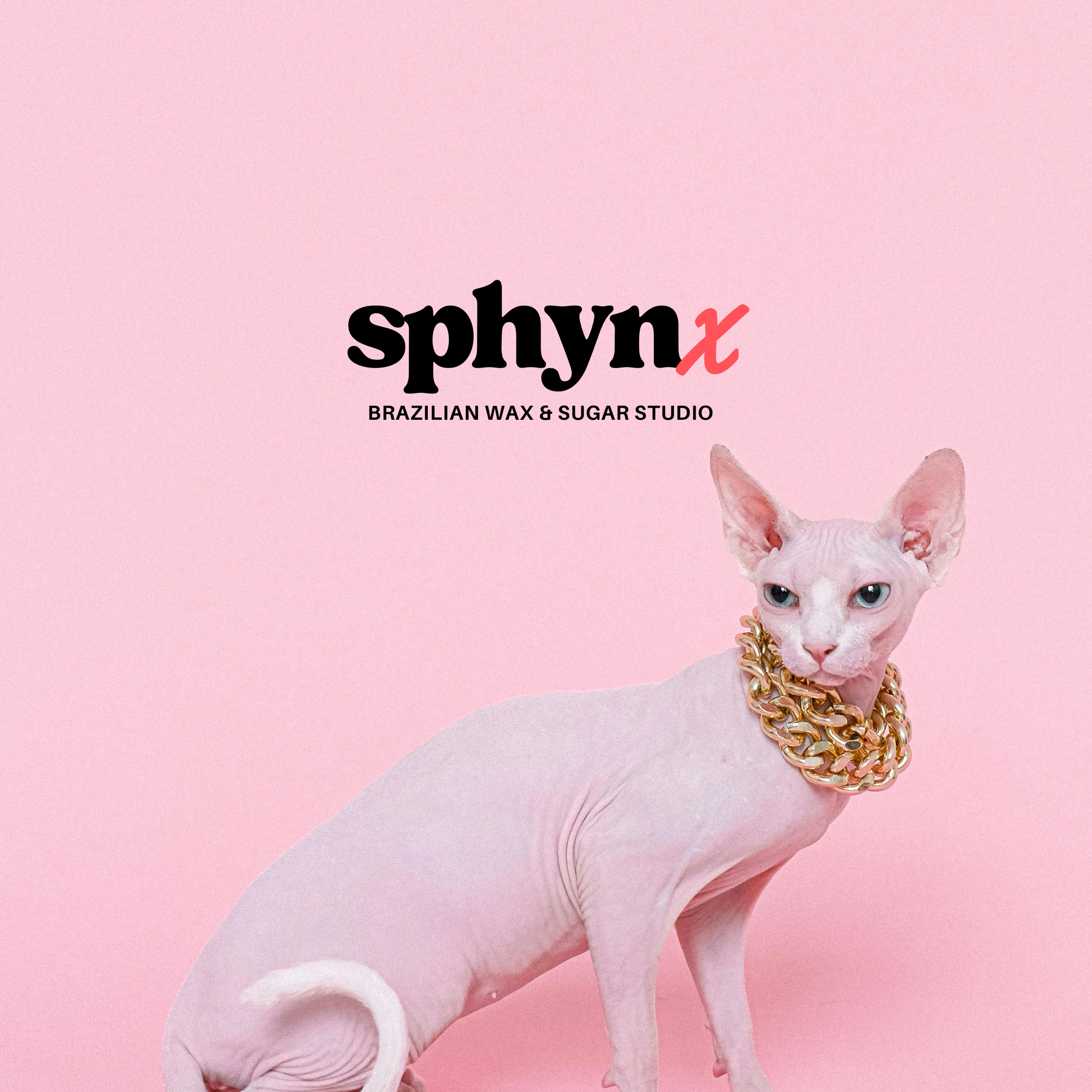 Sphynx