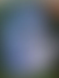 حماقة ادّعاء العقلانية 