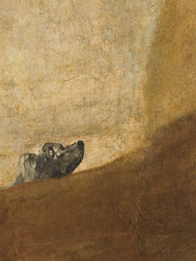 Goya's Drowning Dog