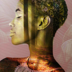 Taking the Lid Off the Cover