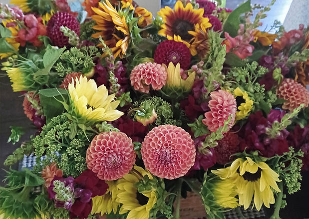 dahlias and suns_edited.jpg