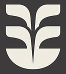 Facial Rejuvenation & Wellness Willow Park