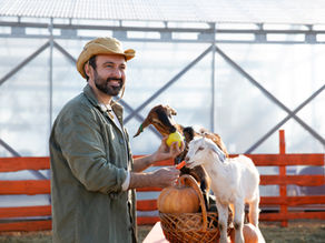 Hayvan Yetiştiricisi