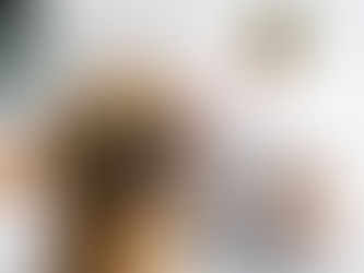 Mekatronik Mühendisi