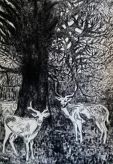 meeting in the Wood.jpeg