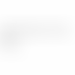 Lønnskonsulentens dag innføres i Norge