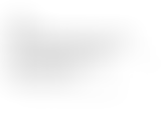 Fra lønnskonsulent til strategisk rådgiver