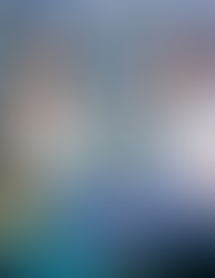 December 2024 - Creator Compass