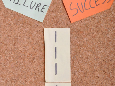 How to Change the Way You Think about Failure