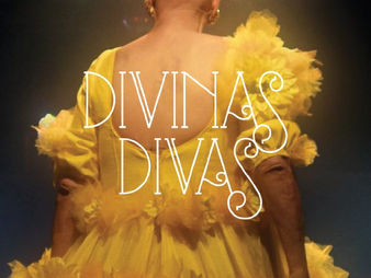 Atriz Rogéria está na disputa para poder concorrer ao Oscar 2018