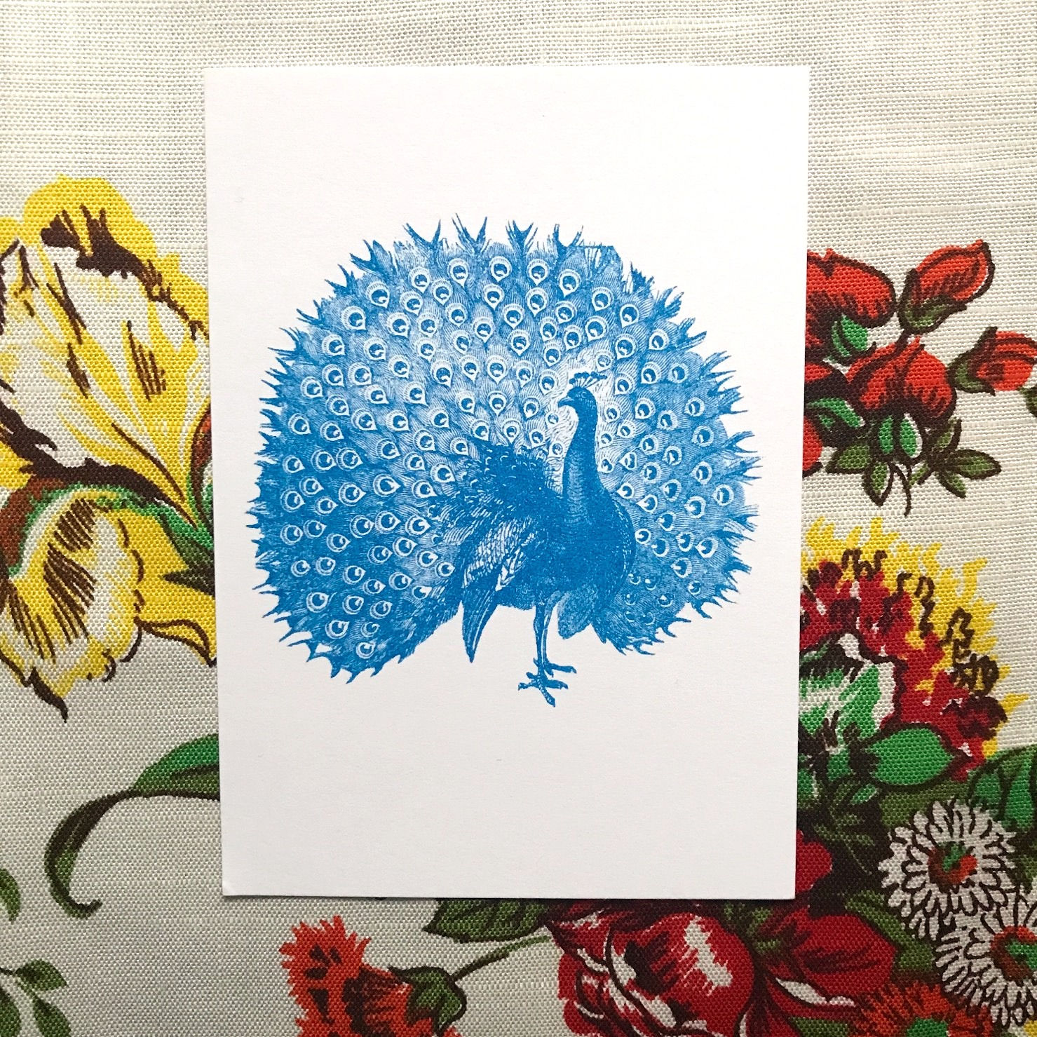 RISO POSTCARD PEACOCK