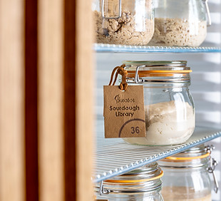 ATM Sourdough Institute - Pot 36.jpg