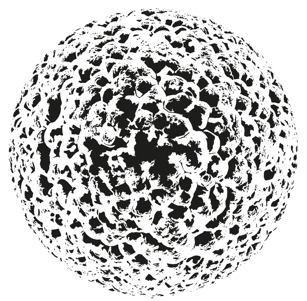 Logo Pellicle_volledig_zwart (3).png