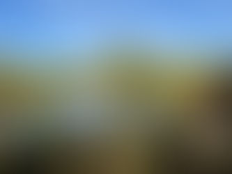 Coaching #10 - Sharnhill Lake - 22/10/22