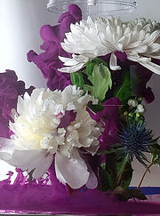 20220624_164520 (1).jpg