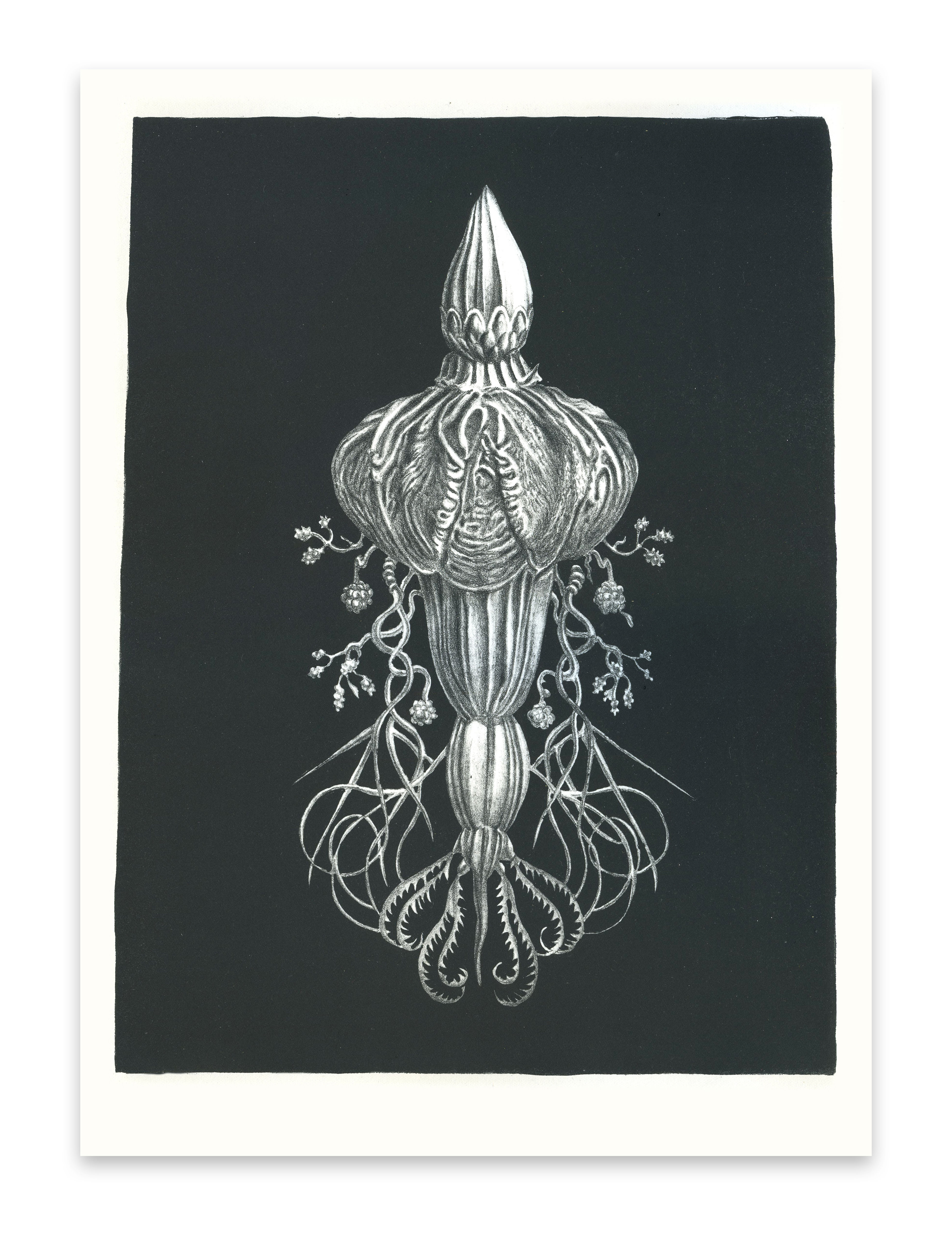 Faeckel #3 Stone Litho Print