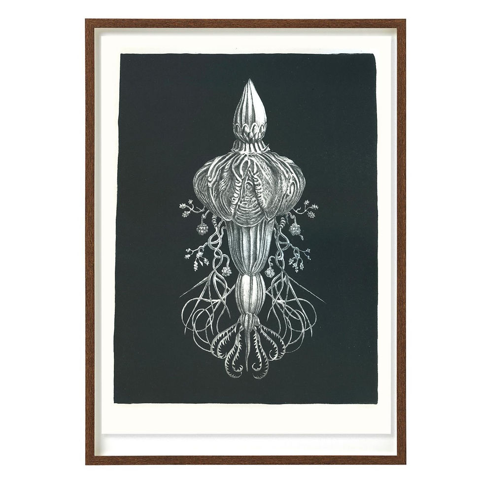 Thumbnail: Faeckel #3 Stone Litho Print