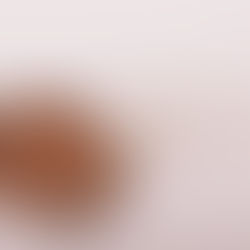 What is Neuropsychology?