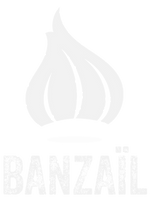 logo Banzail
