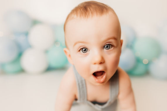 long island cake smash photographer