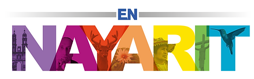 LOGO N.png