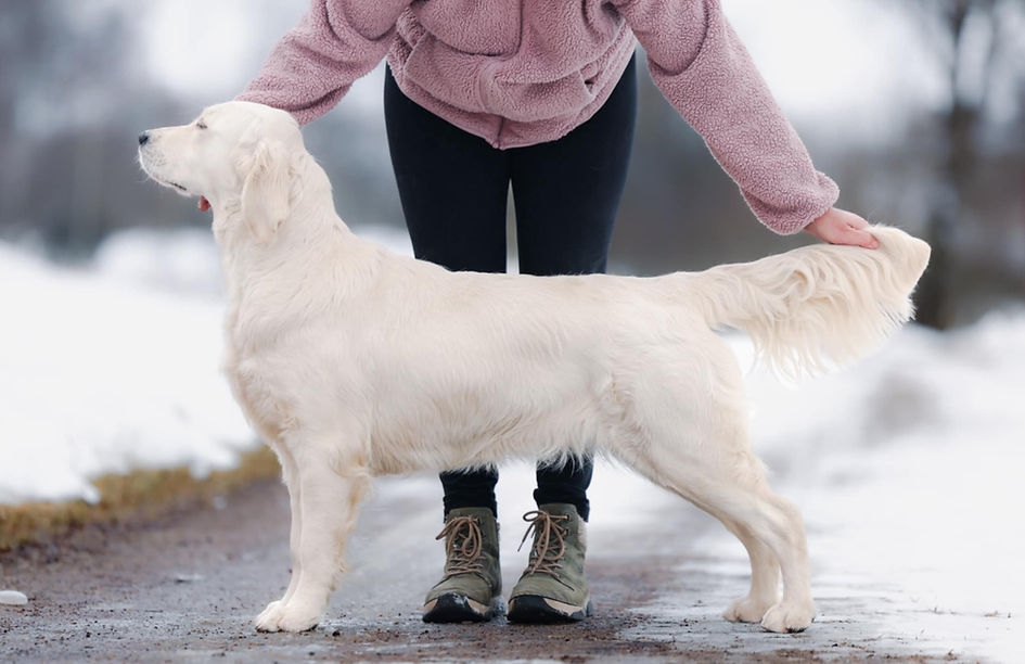 44d71107-2cd9-4136-924c-c01a1d8da976 (1) Lizzie.jpeg