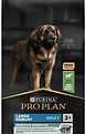 pp-large-adult-rob-optidigest-lamm-db_edited.jpg