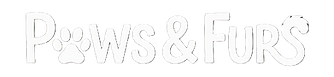 Gemini_Generated_Image_ehhf15ehhf15ehhf.png