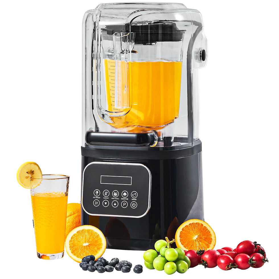 Commercial 2L Smoothie Blender Quiet Touch Controls