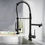 Miniaturbild: Single Handle Standard Pull Down Kitchen Faucet