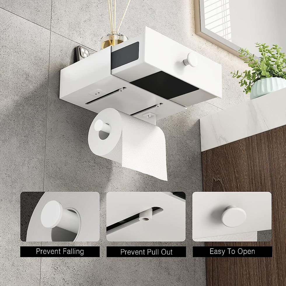Pikkukuva: Toilet Paper Holder with Shelf and Drawer Stainless Steel