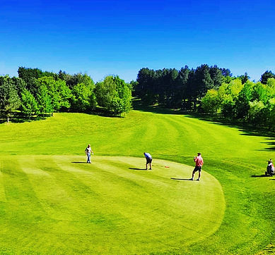 beautiful green with players