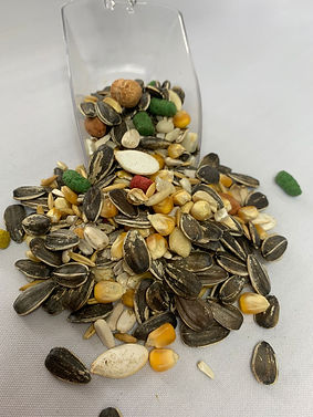 Mistura de Sementes para Papagaio