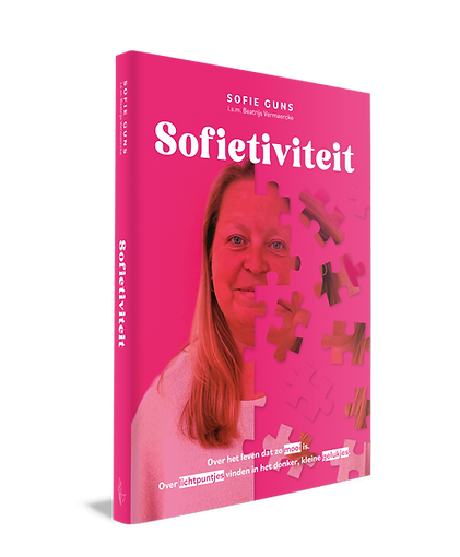 Sofietiviteit COVER 3D (002).png