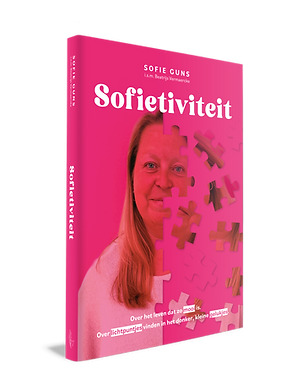Sofietiviteit COVER 3D (002).png