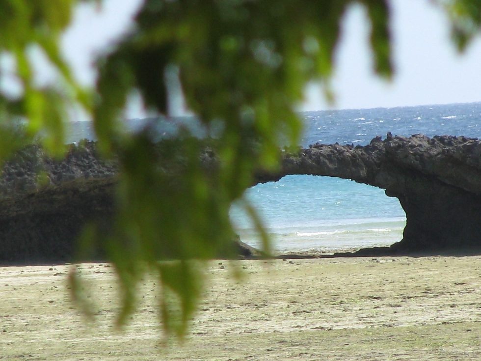 corals and ocean zanzibar maleyna tours safari blue