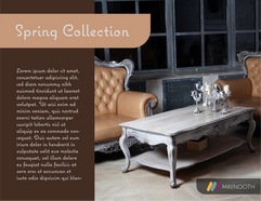 Color Scheme Project 2