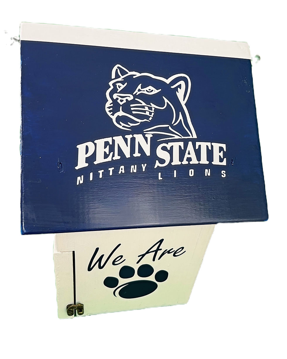 Thumbnail: Handmade Penn State Birdhouse Side top view.