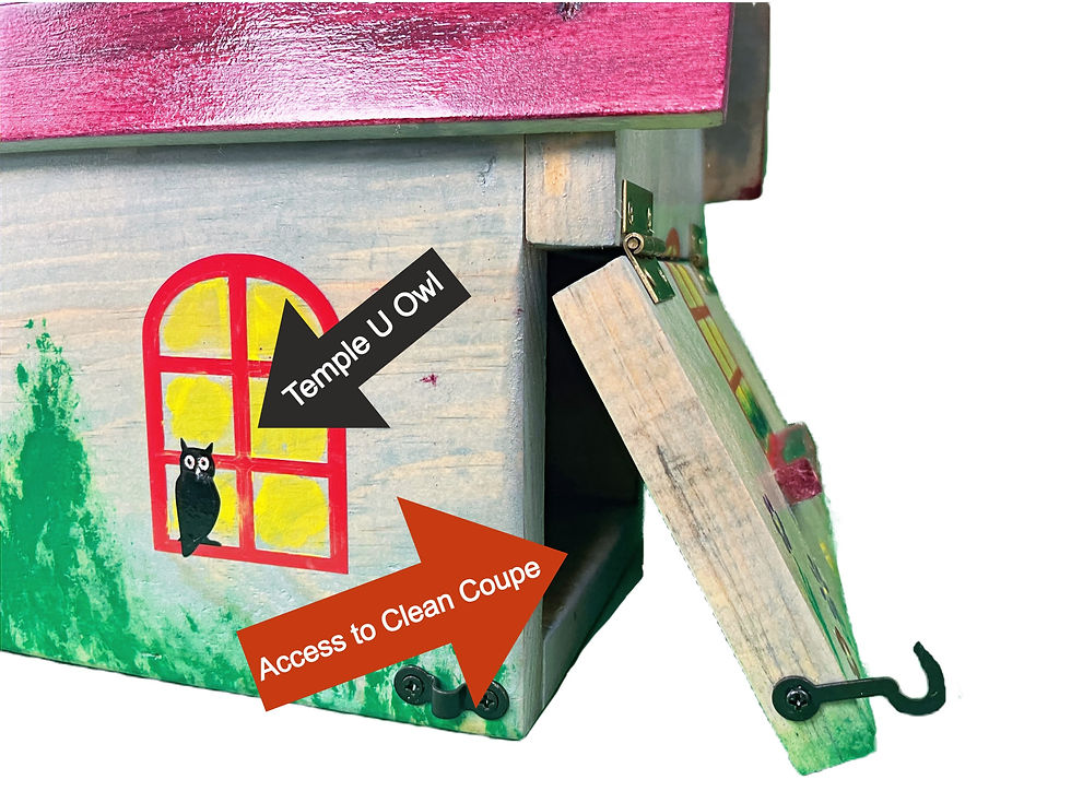 Thumbnail: A beautifully handmade birdhouse depicting Temple University showing the Temple owl and door for cleaning