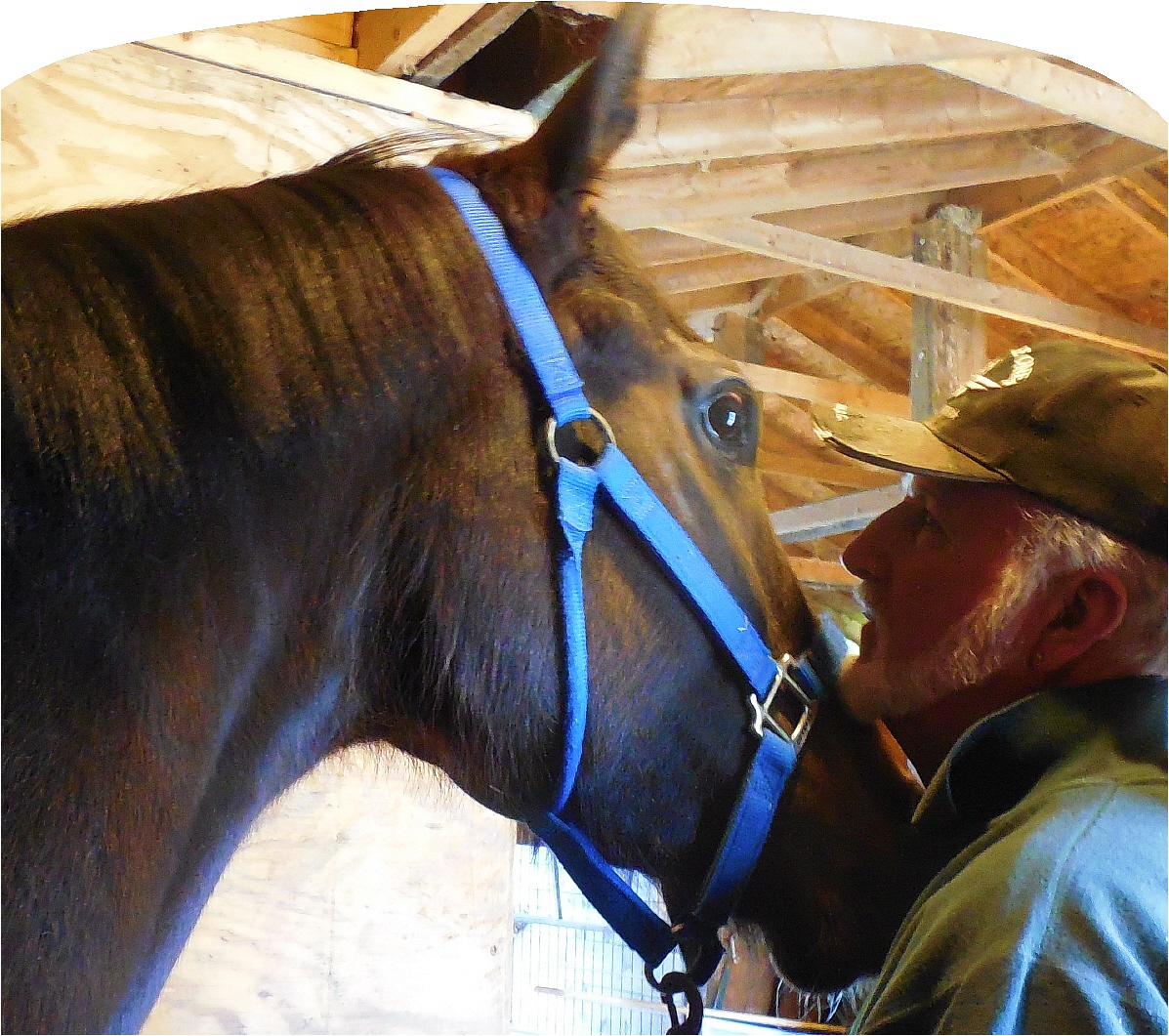 Sunrise Horse Farm Organic Farm in Chesterland, Ohio Geauga County