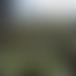 Une belle saison de production d'annuelles 2025, merci pour votre fidélité !