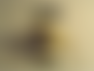 予定は未定で決定ではないですが