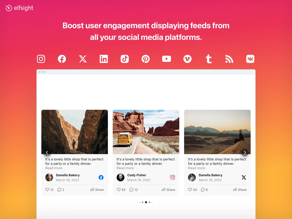 Social Feed by Elfsight Preview 0