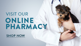Shop our online pharmacy