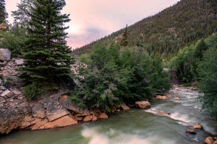Z63_6160.jpg