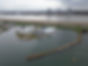 Drone Galgenweel