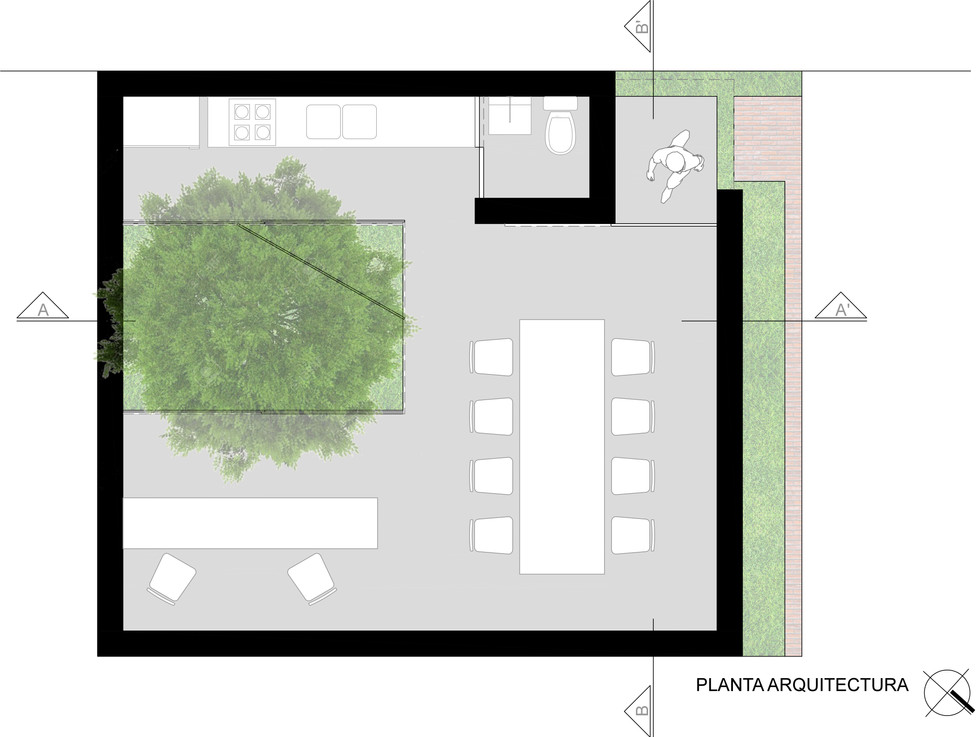 planta-caja-de-tierra.jpg